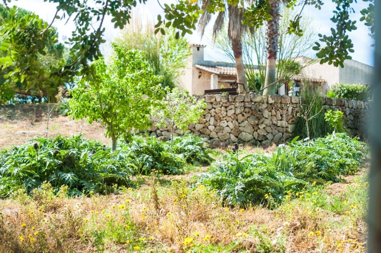 Villa Santa Margalida Exterior foto
